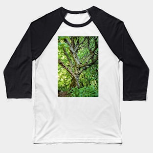 Dead tree in a young forest Baseball T-Shirt